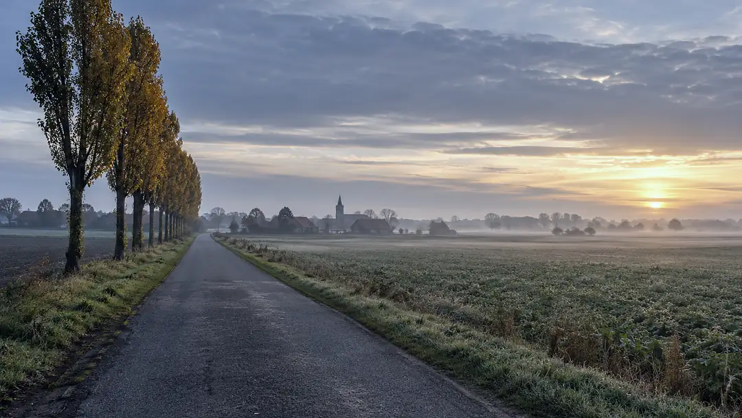 Country road lined with poplars between fields in the morning mist, with a village and a church tower on the horizon
