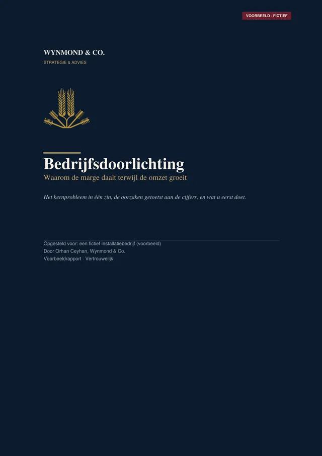 Cover of the sample business diagnosis report